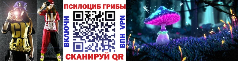 хочу наркоту  Бавлы  Псилоцибиновые грибы Psilocybine cubensis 